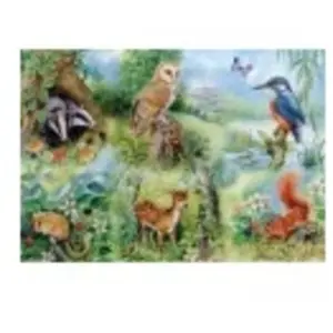 House of Puzzles Meadow Nature Study pas cher