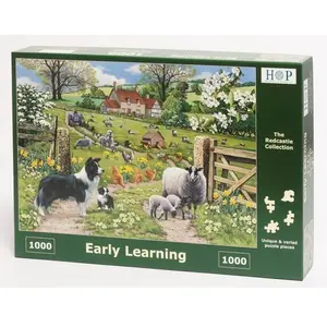 Legpuzzel - 1000 stukjes - Early Learning - House of Puzzels pas cher