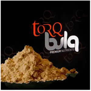 Torq Boisson Isotonique En Poudre Vegan Robust & Fruity 1.5kg pas cher