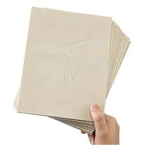 Essdee Essdee Softcut 210x150x3 mm 10 stuksVendu parbol