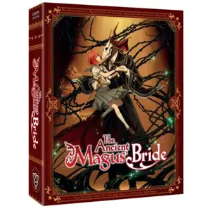 AANIME The Ancient Magus' Bride Saison 1 Edition Collector Limitée Numérotée Blu-rayVendu parfnac-be