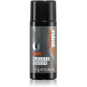 Fudge - Sculpt Elevate Powder - 10gr. pas cher