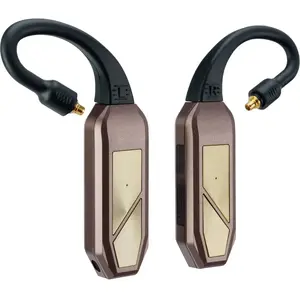 Récepteurs Bluetooth iFi Audio Go pod Max ifi0027 pas cher