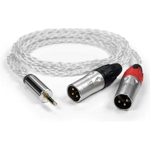 iFi Audio 4.4mm to XLR cable pas cher