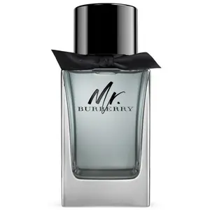 Mr. Burberry - Eau de Toilette -100ml BURBERRY pas cher