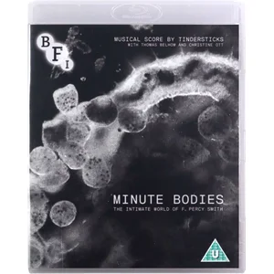 Import Minute Bodies pas cher
