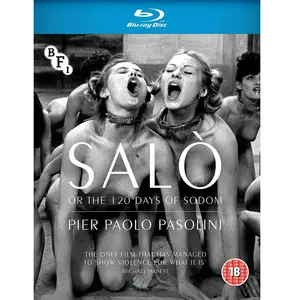 Import Salo pas cher
