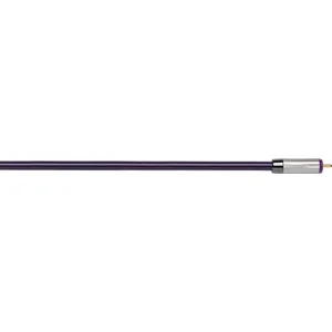 Câble Coaxial QED 1M Graphit pas cher