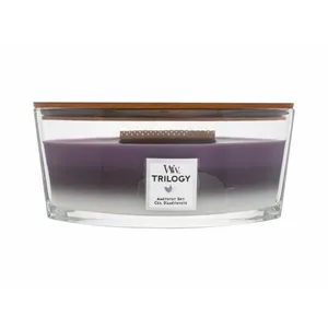 Bougie Parfumée Woodwick 453,6g Trilogy Amethyst Sky pas cher