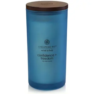 Chesapeake Bay Candles, Bougie parfumée, Mousse de Chêne pas cher
