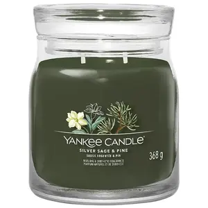 Yankee Candle, Bougie parfumée, Bougie parfumée Silver Sage & Pine Signature Medium Jar pas cher