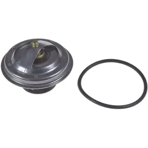 Blue Print Thermostaat pas cher