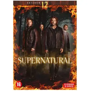 Import Supernatural Season 12 DVD pas cher