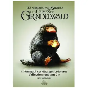 Warner Home Video Les Animaux fantastiques : Les Crimes de Grindelwald DVD zone 2