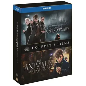 Comparateur de prix : Warner Home Video Coffret Les Animaux fantastiques 1 et 2 Blu-ray