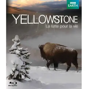 Koba films Yellowstone - Blu-Ray pas cher