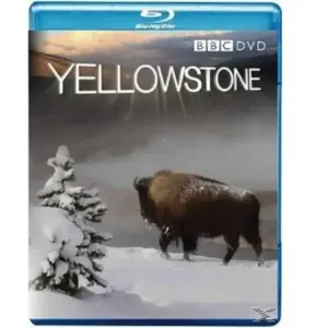 Yellowstone - Tales From The Wild pas cher