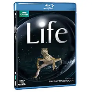 Life pas cher