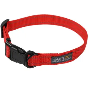 Collier Pour Chien Regatta 45/70 Cm Mixte Rouge pas cher