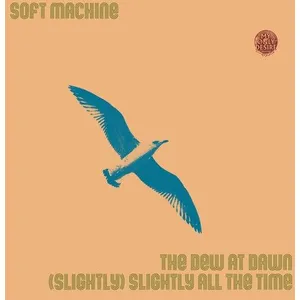 Comparateur de prix : MY ONLY DESIRE RECORDS The Dew At Dawn - Slightly All The Time