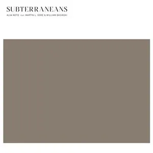 Disques vinyles populaires : Subterraneans pas cher