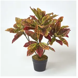 Croton rouge plante rouge et jaune artificielle en pot, 65 cm - Homescapes pas cher