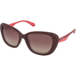 Superdry Lunettes De Soleil Sds 5022 162 pas cher