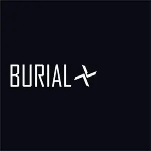 Comparateur de prix : HYPERDUB Burial - One / Two (12" Vinyl Single) (Coloured Vinyl)