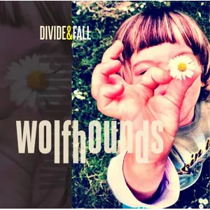 Import Divide and fallVendu parfnac-be