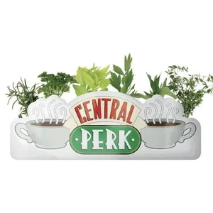 FRIENDS - Central Perk - Pot de fleurs / Vase de table pas cher