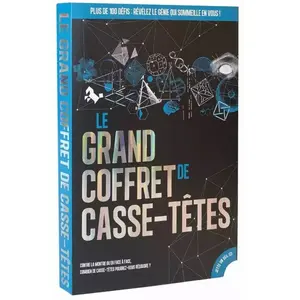 Jeu classique Professor Puzzle Le grand coffret casse-têtes pas cher