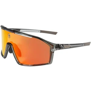 Comparateur de prix : Endura Lunettes Gabbro II pour homme, gris, taille unique
