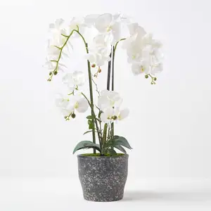 HOMESCAPES Grande Orchidée artificielle blanche en pot en céramique foncé 82 cm pas cher