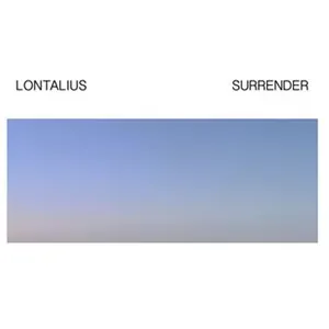 Disques vinyles populaires : PBWH Surrender pas cher