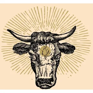 Black Acre Torozebu pas cher