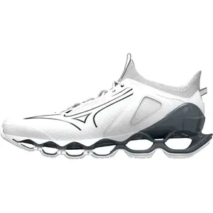 Comparateur de prix : Mizuno Chaussures De Running Wave Prophecy 14