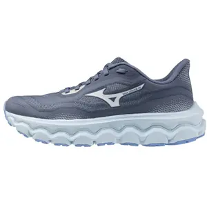 Comparateur de prix : Mizuno Wave Horizon 9 Hardloopschoenen Dames