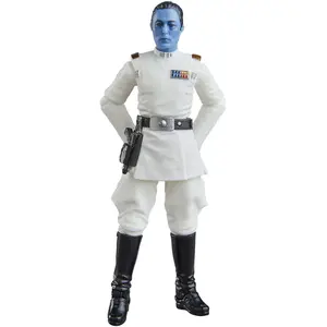 Hasbro Star Wars VIN Major pas cher