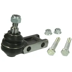 Fuseekogel SABJ0556 Moog pas cher