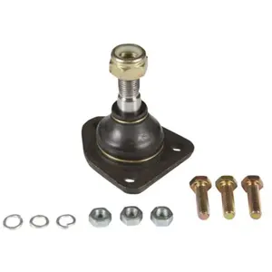 Comparateur de prix : Fuseekogel FIBJ0262 Moog