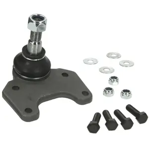 Fuseekogel REBJ4281 Moog pas cher