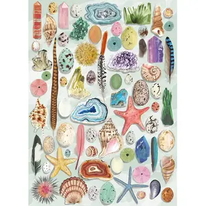 Puzzle 1000 pièces Gibsons Natural Curiosities pas cher