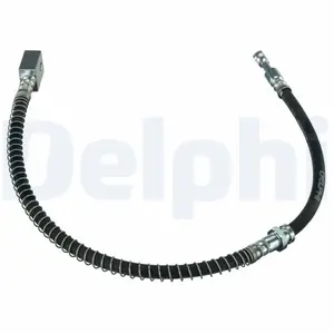 Delphi Remslang pas cher