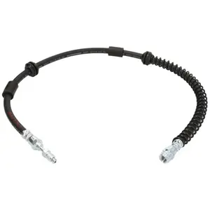 Delphi Remslang pas cher