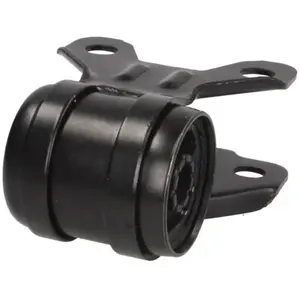 Delphi Draagarmrubber pas cher