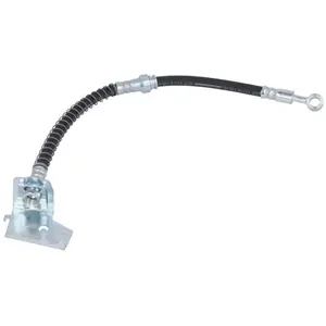 Delphi Remslang pas cher