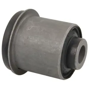 Comparateur de prix : Delphi Draagarmrubber