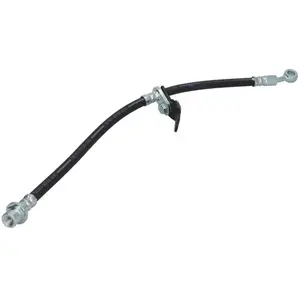 Delphi Remslang pas cher