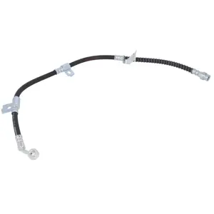 Delphi Remslang pas cher