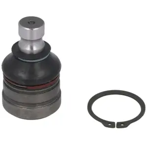 Comparateur de prix : Delphi Onderste Fuseekogel